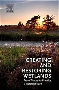 Creating and Restoring Wetlands: From Theory to Practice (Hardcover)