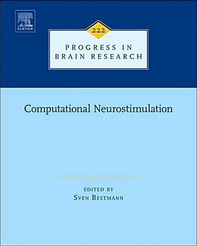 Computational Neurostimulation (Hardcover)