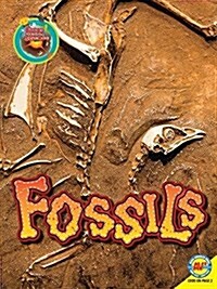 Fossils (Library Binding)