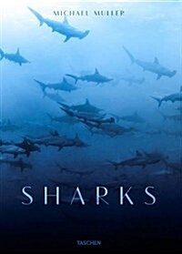 Michael Muller. Sharks (Hardcover)