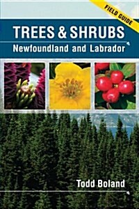 Trees and Shrubs of Newfoundland and Labrador: Field Guide (Paperback)