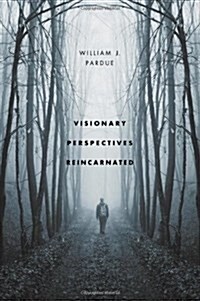 Visionary Perspectives Reincarnated (Paperback)