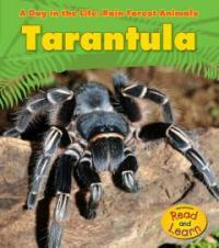 Tarantula (Paperback)