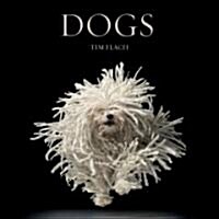 Dogs: Photographs (Hardcover)