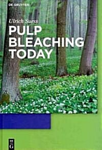 Pulp Bleaching Today (Hardcover)