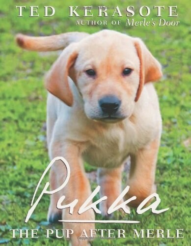 Pukka: The Pup After Merle (Hardcover)