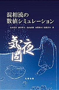 混相流の數値シミュレ-ション (單行本(ソフトカバ-))