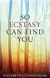 So Ecstasy Can Find You (Paperback)