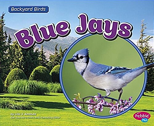 Blue Jays (Paperback)
