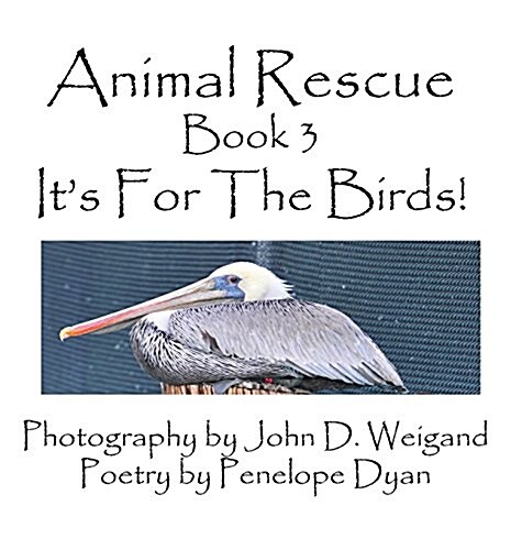 Animal Rescue, Book 3, Its for the Birds! (Hardcover, Picture Book)