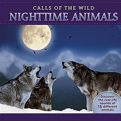 Calls of the Wild: Nighttime Animals: Experience the Wild at Night! (Hardcover)