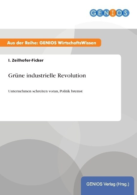 Gr?e industrielle Revolution: Unternehmen schreiten voran, Politik bremst (Paperback)