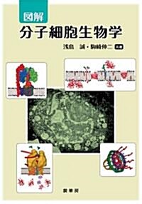 圖解 分子細胞生物學 (單行本(ソフトカバ-))