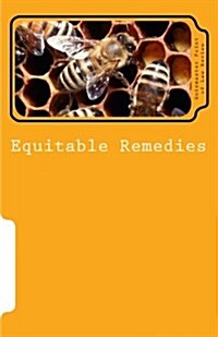 Equitable Remedies: Subtitle (Paperback)