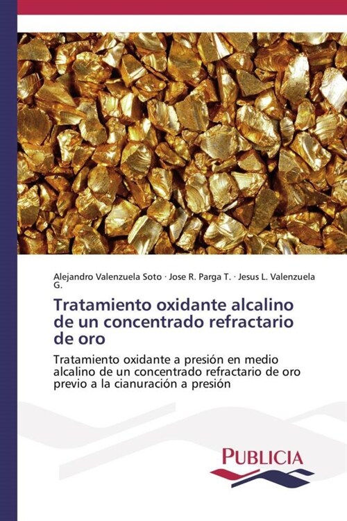 Tratamiento Oxidante Alcalino de Un Concentrado Refractario de Oro (Paperback)