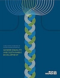 World Survey on the Role of Women in Development: 2014: Gender Equality and Sustainable Development (Paperback, English)