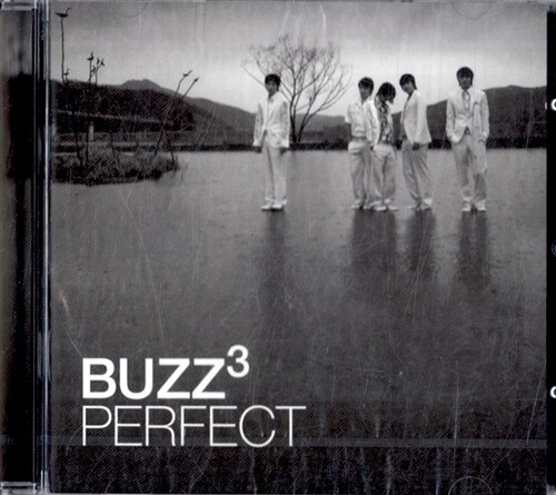 [중고] Buzz (버즈) 3집 - Perfect