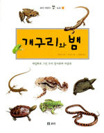 개구리와 뱀:세밀화로 그린 우리 양서류와 파충류