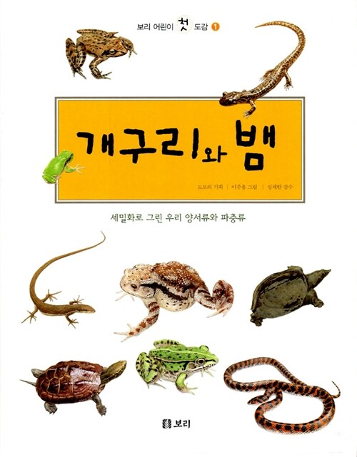 [중고] 개구리와 뱀