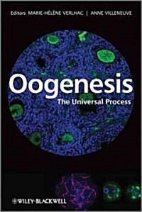 Oogenesis: The Universal Process (Hardcover)