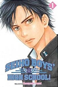 Seiho Boys High School!, Vol. 1 (Paperback)