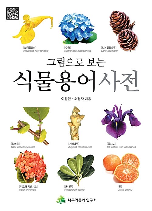 [중고] 식물용어사전