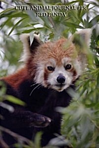 Cute Animal Journal #15: Red Panda (Lined Pages): 200 Page Journal (Paperback)