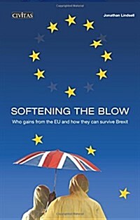 Softening the Blow (Paperback)