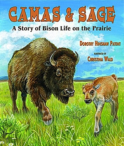 Camas and Sage (Paperback)