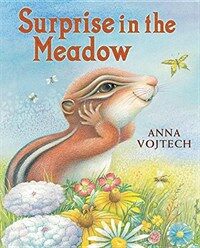 Surprise in the Meadow (Hardcover)