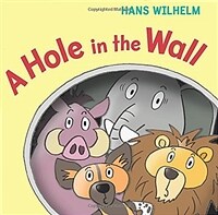 A Hole in the Wall (Hardcover)