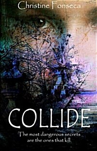 Collide (Paperback)