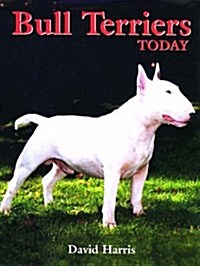 Bull Terriers Today (Hardcover, 1)