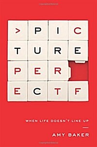 Picture Perfect: When Life Doesnt Line Up (Paperback)