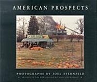 American Prospects (Paperback, First Edition)