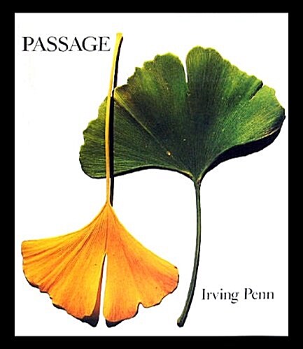 Passage (Hardcover)