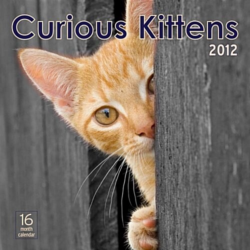 2012 Curious Kittens Wall calendar (Calendar, Wal)