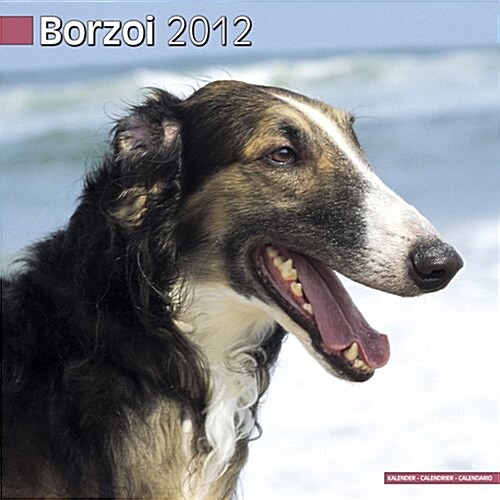 Borzoi 2012 Wall Calendar #10082-12 (Calendar)