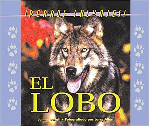 Perros Salvajes (Wild Canines of North America) - El Lobo (The Wolf) (Hardcover, 1)