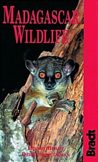 Madagascar Wildlife (Bradt Guides) (Paperback, 1st)