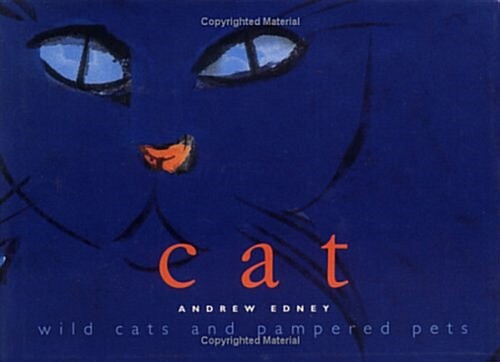 Cat: Wild Cats (Hardcover, First Edition)