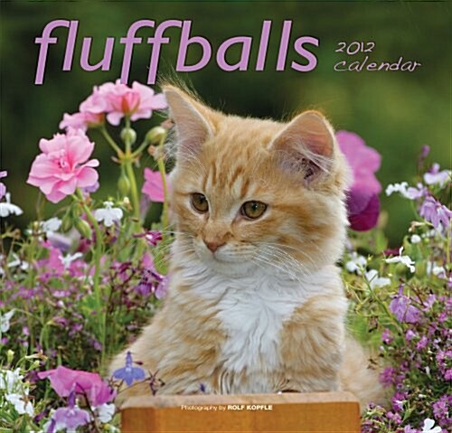 2012 Fluffballs (Calendar, 0)