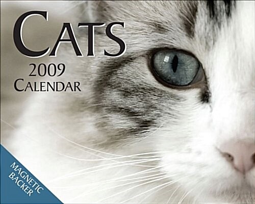 Cats: 2009 Mini Day-to-Day Calendar (Calendar, Min Pag)