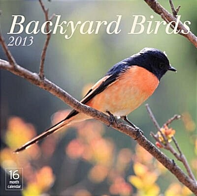 2013 Backyard Birds (Calendar, Wal)