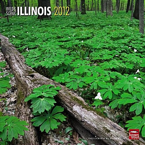 Illinois, Wild & Scenic 2012 Square 12X12 Wall Calendar (Calendar, Wal)