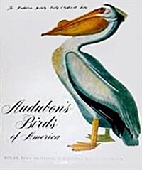 Audubons Birds Of America: The AUDUBON Society Baby Elephant Folio (Hardcover, 2)