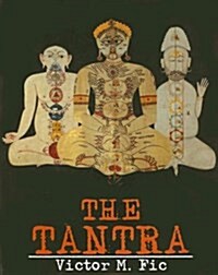 Tantra: Its Origin, Theories, Art and Diffusion From India to Nepal, Tibet, Mongolia, China, Japan and Indonesia (Hardcover)