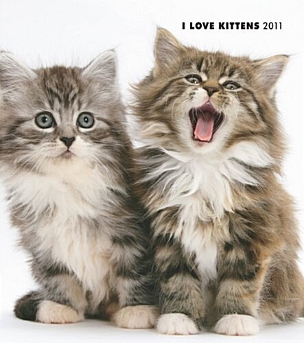 I Love Kittens 2011 Monthly Personal Planner (Calendar)