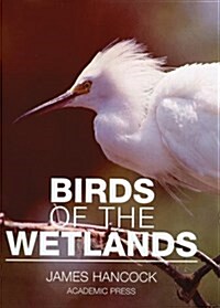 Birds of the Wetlands (Natural World) (Hardcover, 1st)
