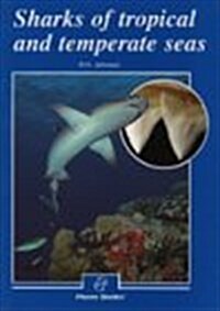 Sharks of Tropical and Temperate Seas (Lonely Planet Diving & Snorkeling Great Barrier Reef) (Paperback)